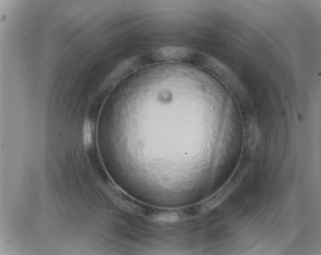 X0000085310075200703231934