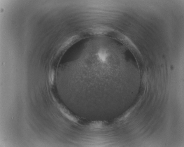 X0000085310076200703231934