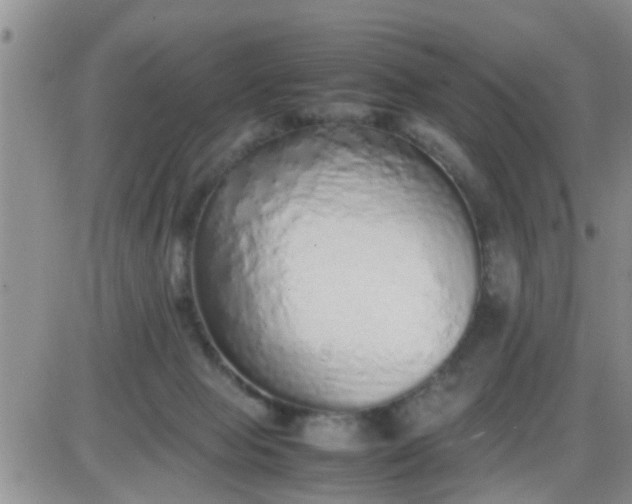 X0000085310077200703231934