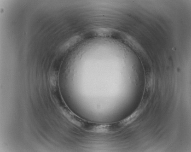 X0000085310078200703231934