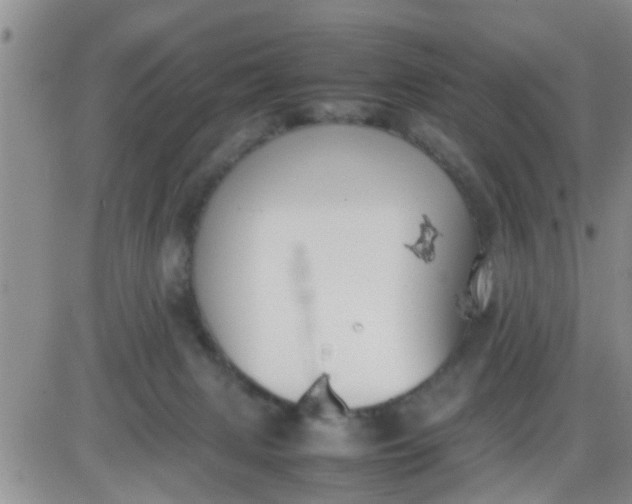 X0000085310079200703231934