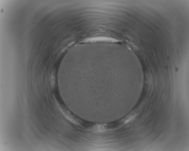 X0000085310080200703231934