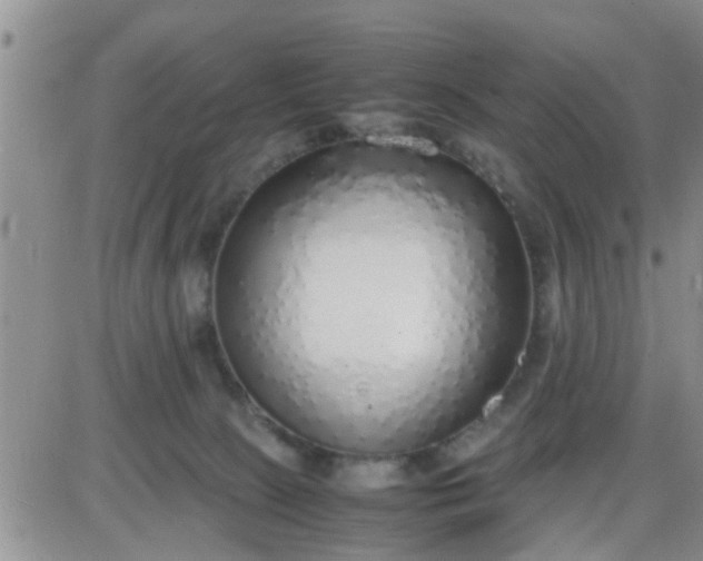 X0000085310081200703231934