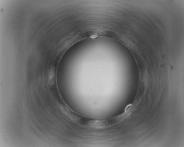 X0000085310082200703231934