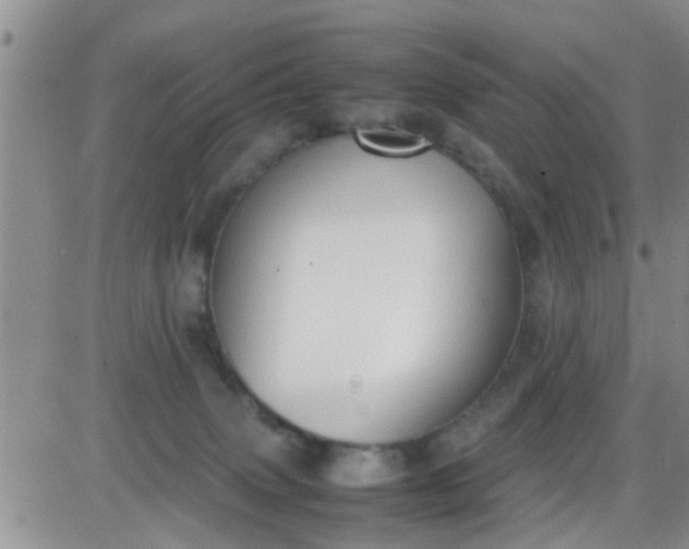 X0000085310083200703231935