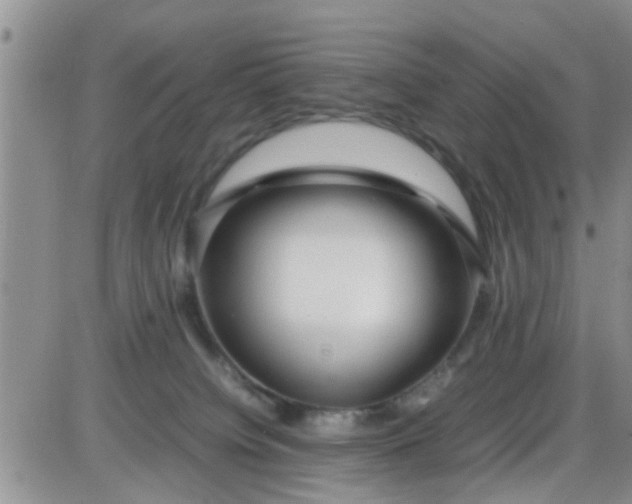 X0000085310084200703231935