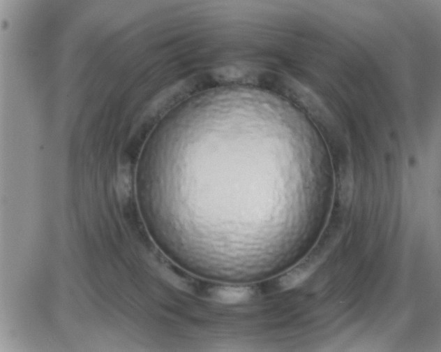 X0000085310085200703231935