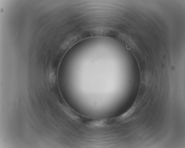 X0000085310086200703231935