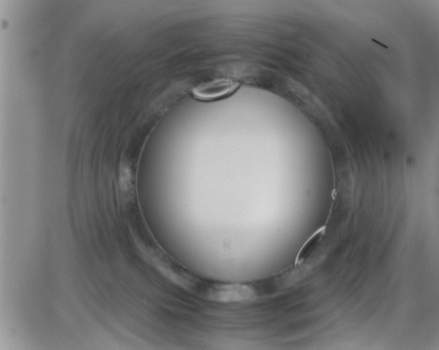 X0000085310087200703231935