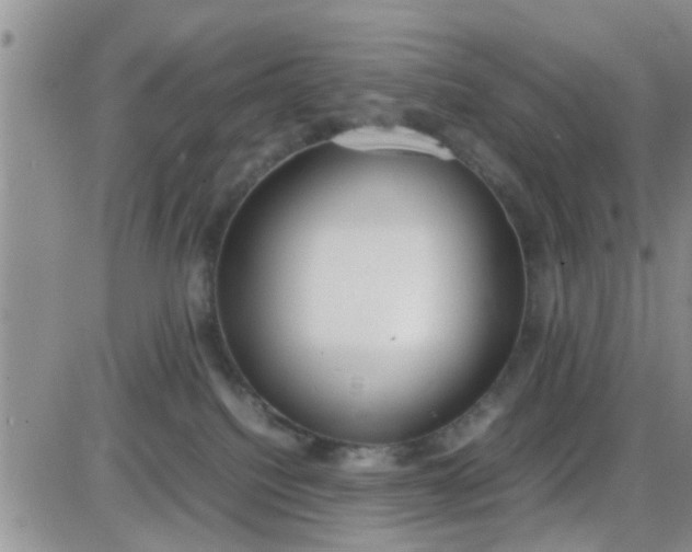 X0000085310088200703231935