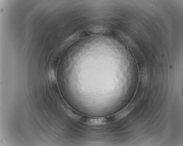 X0000085310089200703231935