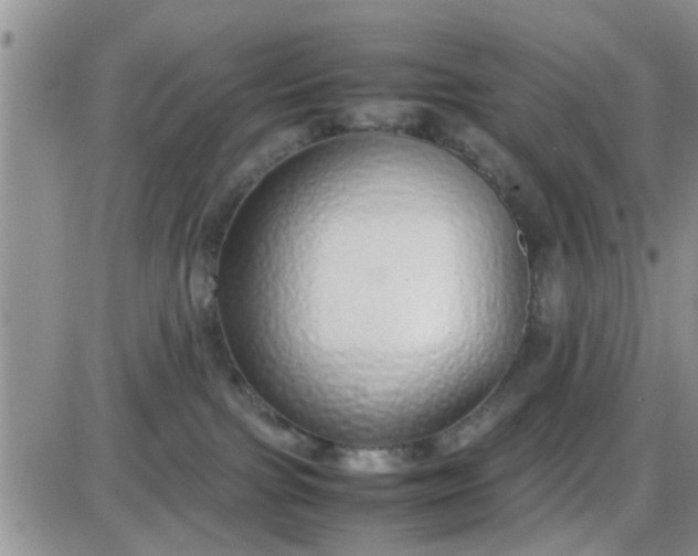 X0000085310091200703231935