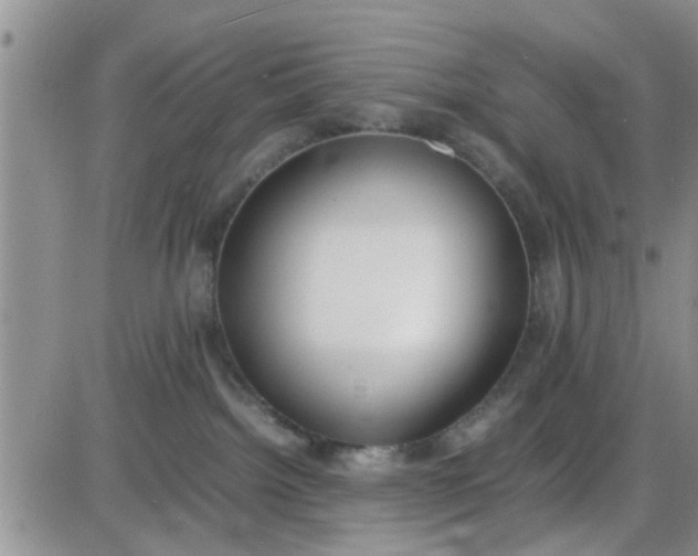 X0000085310092200703231935