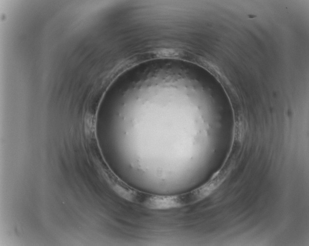 X0000085310093200703231935