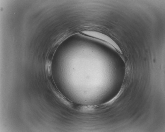 X0000085310094200703231935