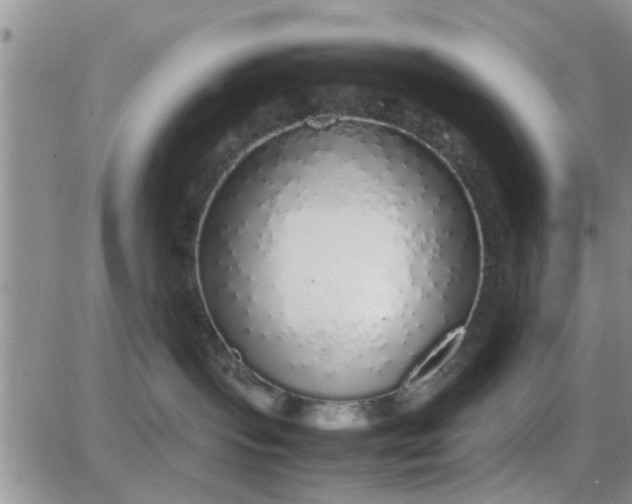 X0000085310095200703231935