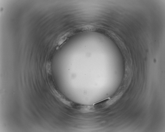 X0000085310096200703231935