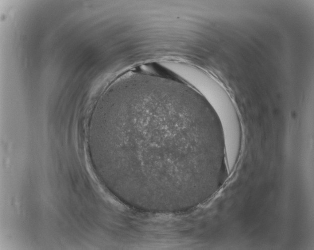 X0000085310097200703231934