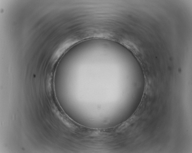 X0000085310098200703231934