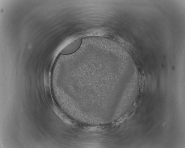 X0000085310100200703231934