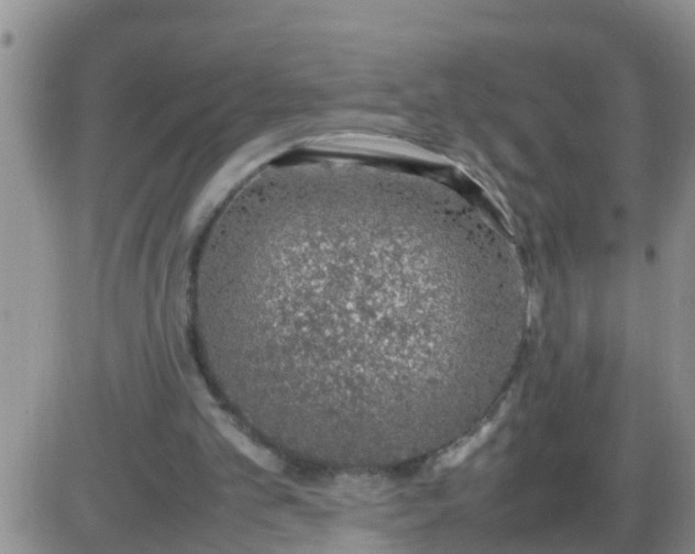 X0000085310101200703231934