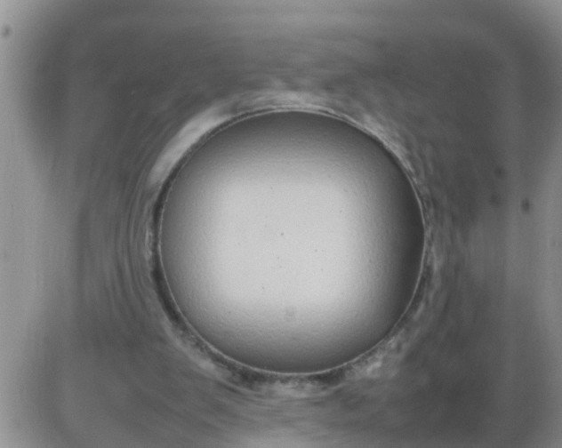 X0000085310103200703231934