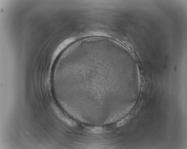 X0000085310104200703231934