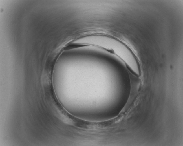 X0000085310105200703231934