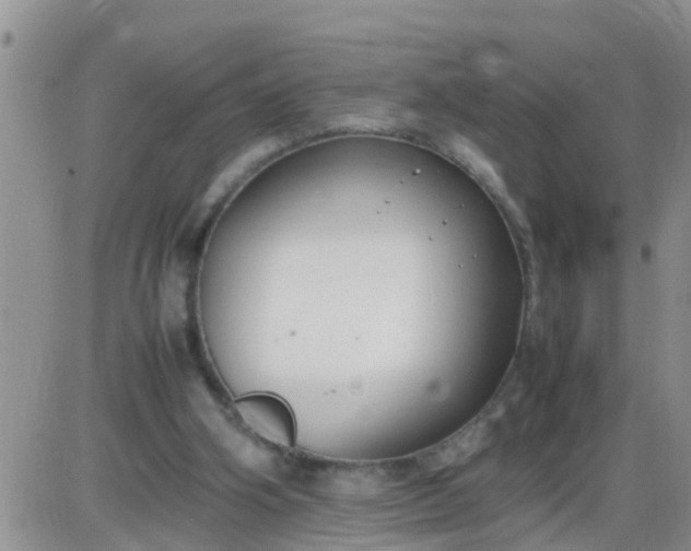 X0000085310106200703231934