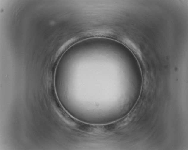 X0000085310107200703231934