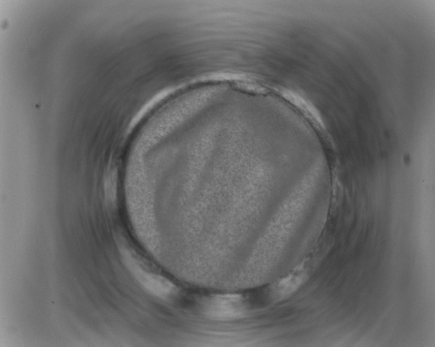 X0000085310108200703231934