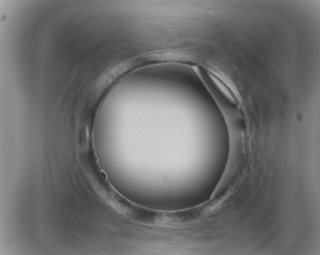 X0000085310109200703231934