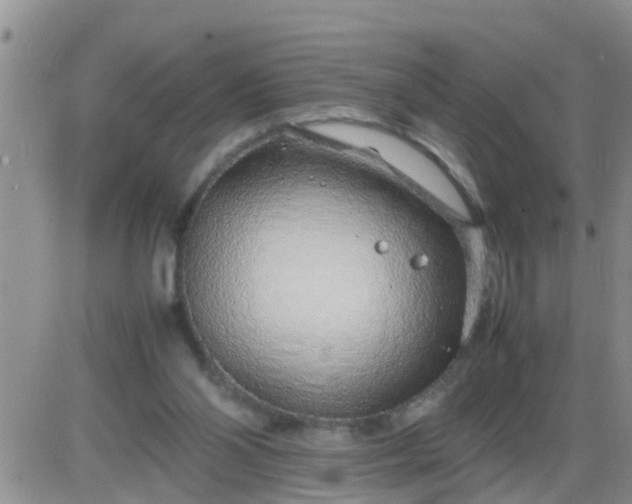 X0000085310110200703231934