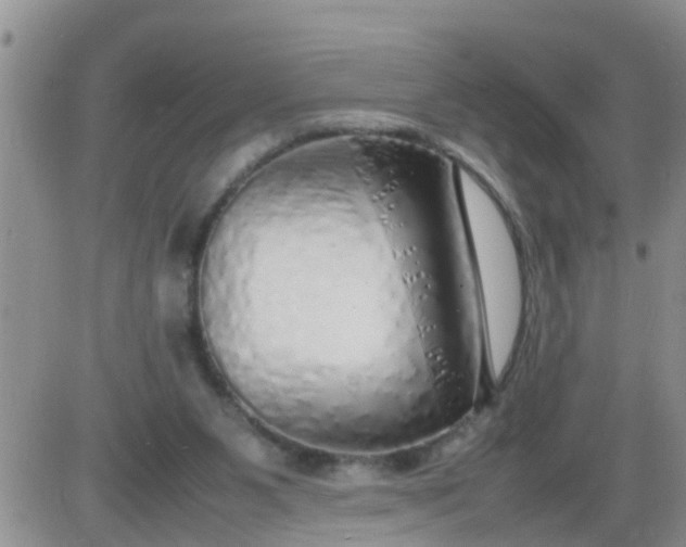 X0000085310111200703231934