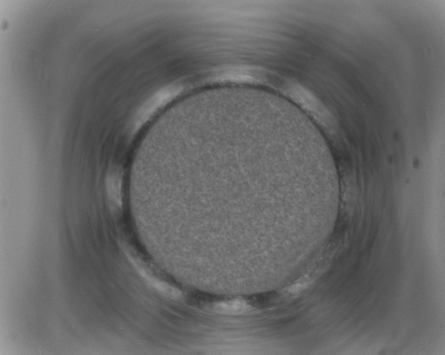 X0000085310112200703231934