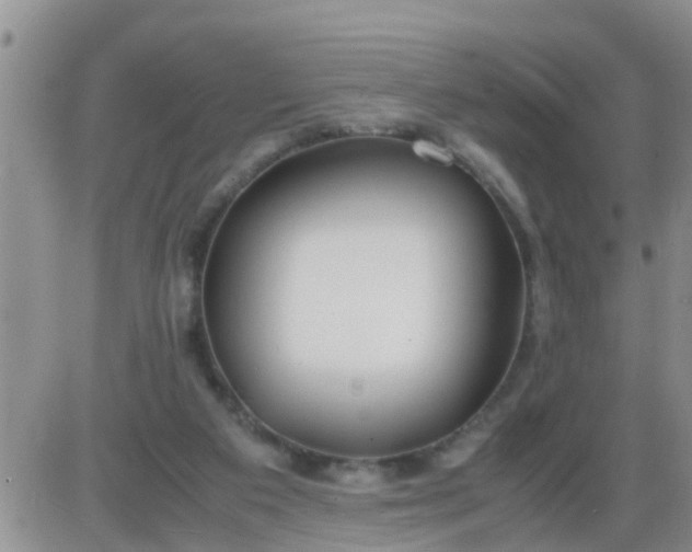 X0000085310113200703231934