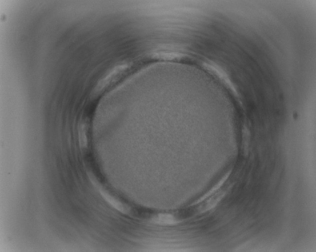 X0000085310114200703231934