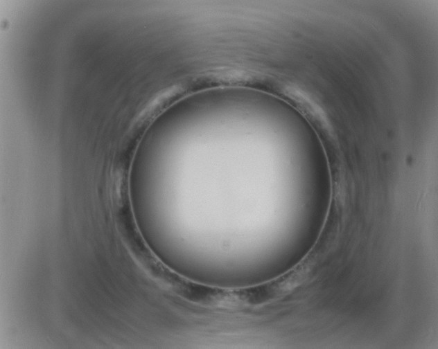 X0000085310115200703231934