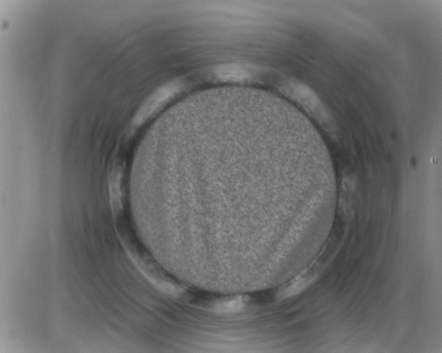 X0000085310116200703231934