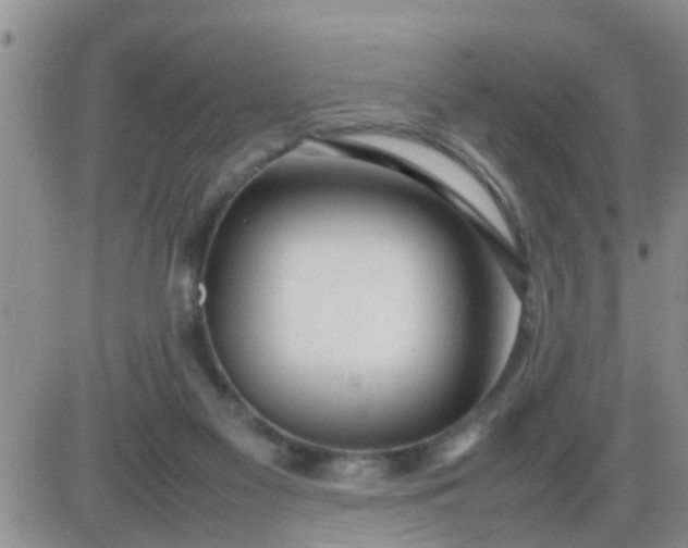 X0000085310117200703231934