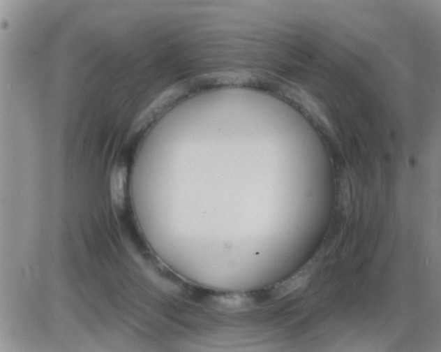 X0000085310118200703231934