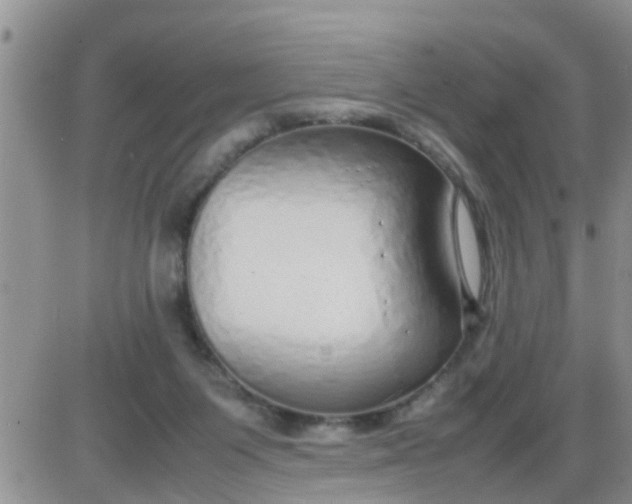 X0000085310119200703231934