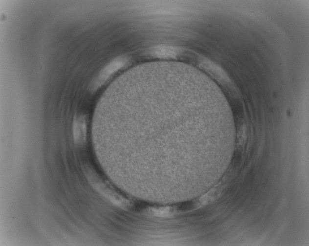 X0000085310120200703231934