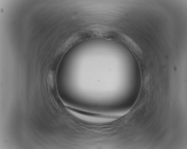 X0000085310121200703231934