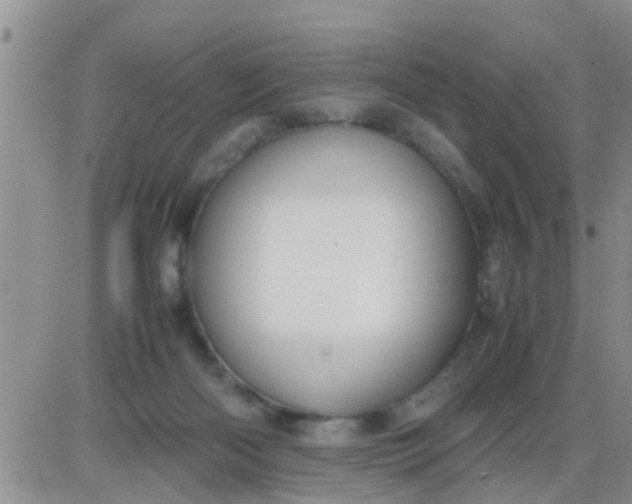 X0000085310122200703231934