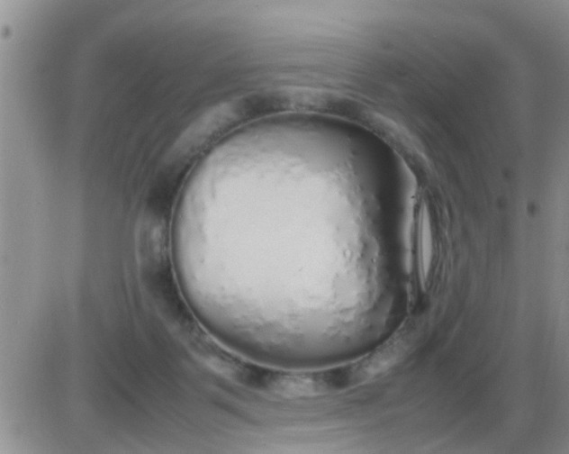 X0000085310123200703231933