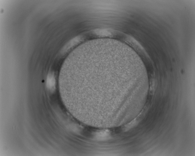 X0000085310124200703231933