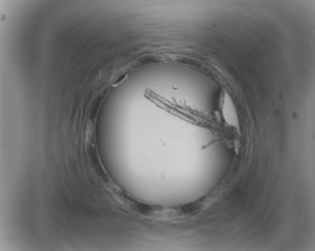 X0000085310125200703231933