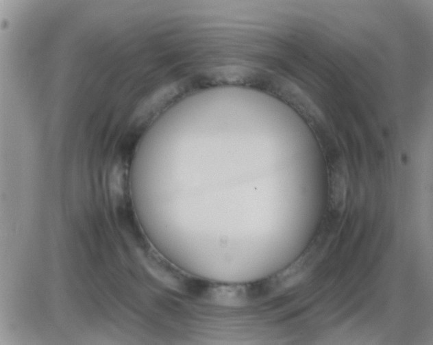 X0000085310126200703231933