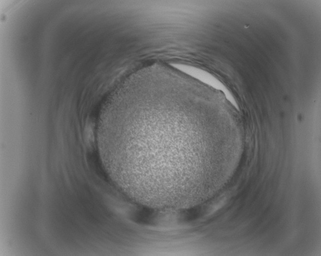 X0000085310127200703231933